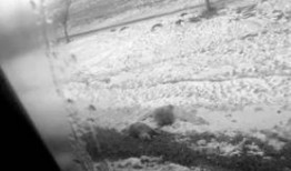 长春白城最新爆料,揭秘神秘事件背后的真相